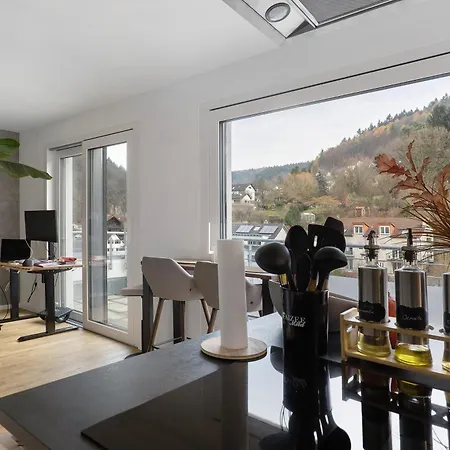 度假居 Luxus-penthouse 海德堡